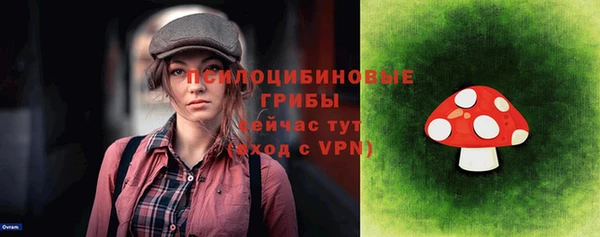 мяу мяу мука Аркадак