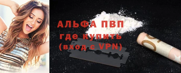 мяу мяу мука Аркадак