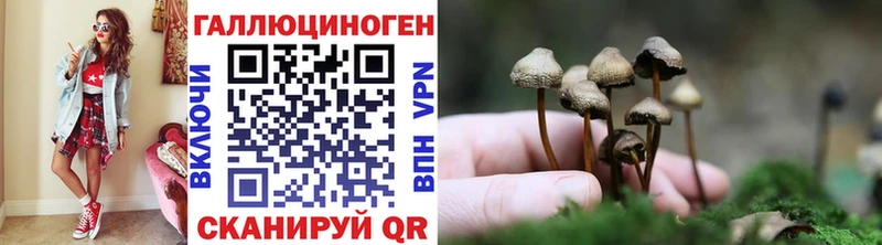 Галлюциногенные грибы мицелий  наркотики  Урень 